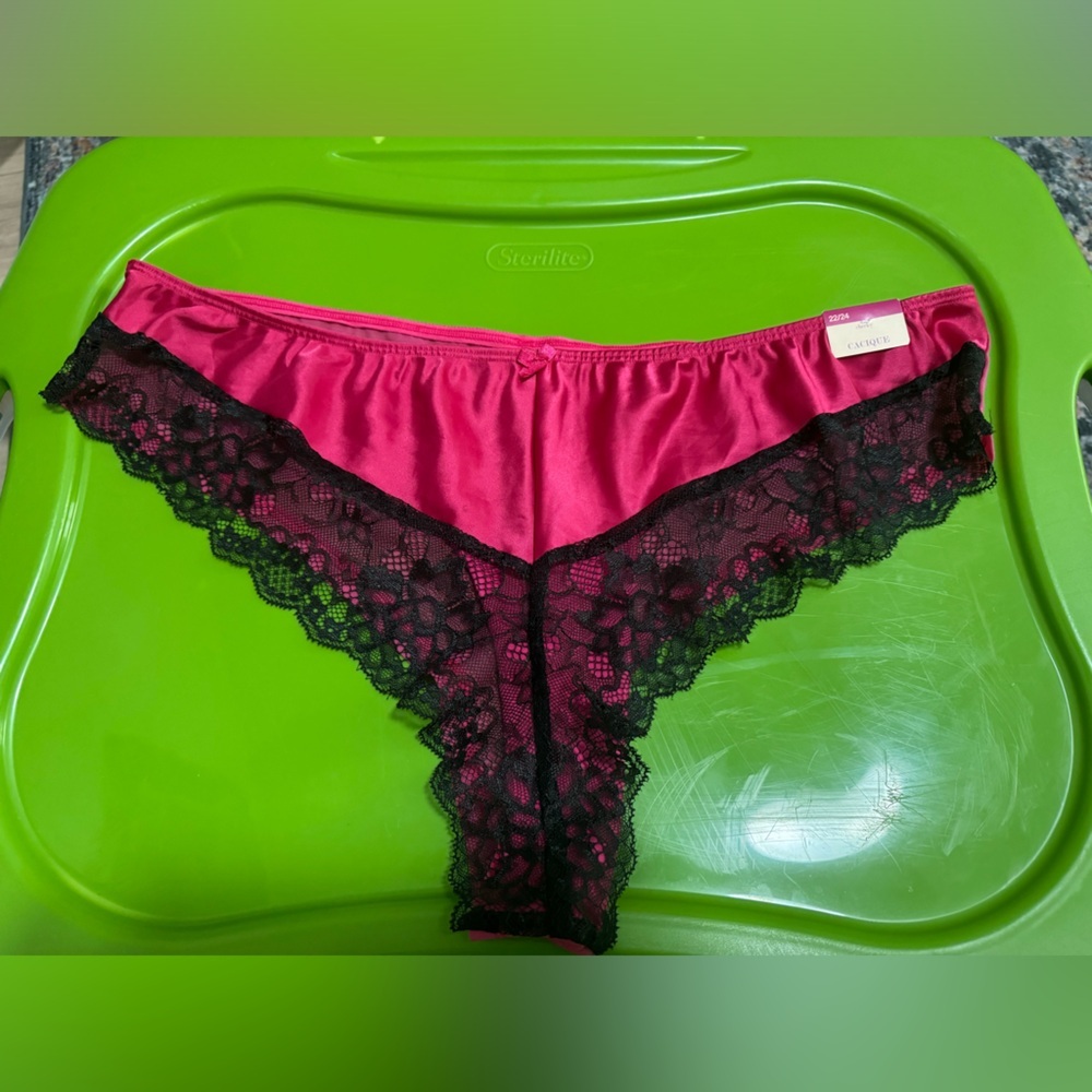 Cacique Seriously Sexy Cheeky Panty size 22/24 NTW